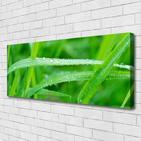 Obraz canvas na ścianę Krople Porannej Rosy na Liściu