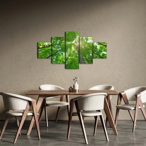 Obraz - Las (125x70 cm)