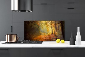 Panel Szklany Leśna Ścieżka W Słońcu