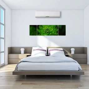 Obraz drzewa iglastego (170x50 cm)