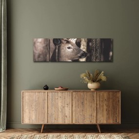 Obraz - Jeleń w lesie (170x50 cm)