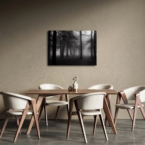 Obraz - Las we mgle (70x50 cm)