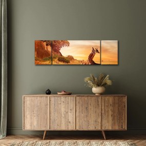 Obraz - Żyrafy w Afryce (170x50 cm)