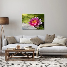 Obraz na szkle - Lilia wodna (70x50 cm)