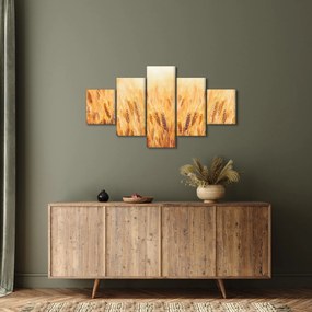Obraz - pole z ziarnami (125x70 cm)
