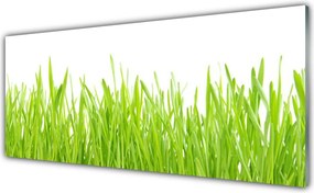 Szkło Dekoracyjne do Kuchni Świeżość Letniego Trawnika