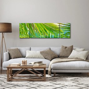 Obraz - Liście palmowe (170x50 cm)