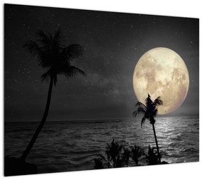 Obraz na szkle - Plaża pod pełnią księżyca w odcieniach szarości (70x50 cm)
