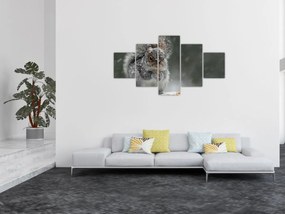 Obraz - Wiewiórka zimą (125x70 cm)