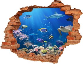 Dziura 3d fototapeta ścienna Rafa koralowa