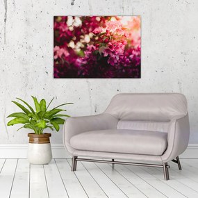 Obraz na szkle - kwiaty malwy (70x50 cm)