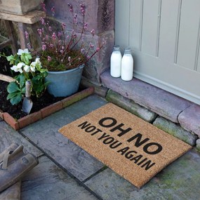 Wycieraczka z włókna kokosowego 40x60 cm Not You Again – Artsy Doormats