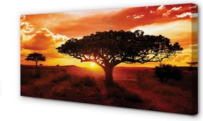 Obraz na płótnie Drzewa i Chmury o Zachodzie