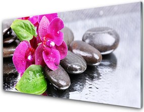 Panel Szklany Egzotyczny Storczyk W Detalu