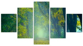 Obraz drogi wysadzanej drzewami (125x70 cm)