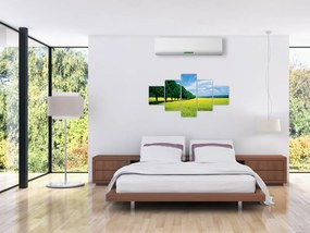 Obraz pola z aleją (125x70 cm)