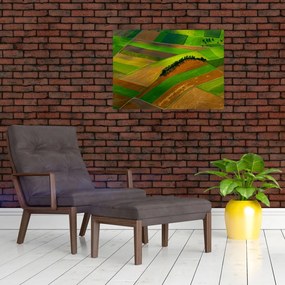 Obraz - Pola, łąki (70x50 cm)