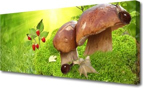 Obraz na płótnie Dary Lasu: Grzyby i Poziomki