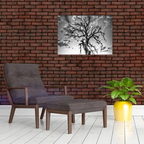 Obraz - Czarno - białe drzewo (70x50 cm)