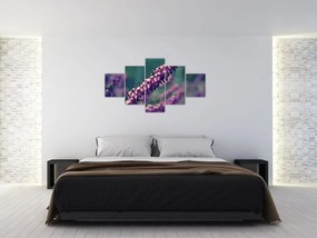 Obraz fioletowego kwiatu (125x70 cm)