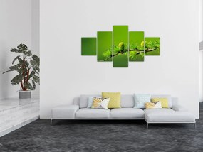 Obraz zielonej szyszki (125x70 cm)