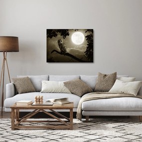 Obraz na szkle - Nocna sowa, złoty (70x50 cm)