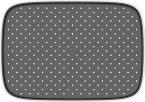 Deszczowa głowica prysznicowa D2201E