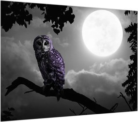 Obraz - Nocna sowa, fioletowa sowa (70x50 cm)