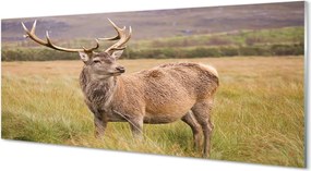 Panel Szklany Samotny Jeleń na tle Horyzontu