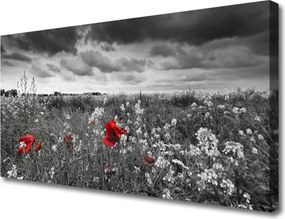 Obraz canvas na ścianę Sielska Polana Kwiatowa