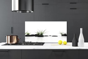 Panel Szklany do Kuchni Odbicie Traw W Lustrze Wody