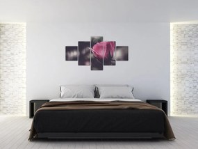 Obraz - Detal kwiatu róży (125x70 cm)