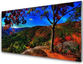 Panel Kuchenny Szczyty Gór W Gęstym Lesie