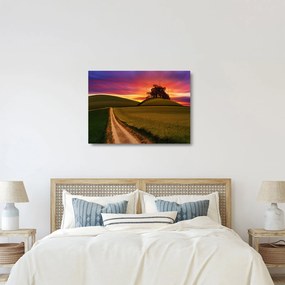 Obraz na szkle - pole i kolorowe niebo (70x50 cm)