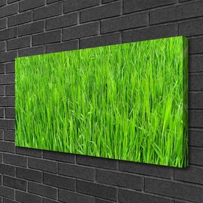 Obraz canvas Soczysta Zielona Murawa