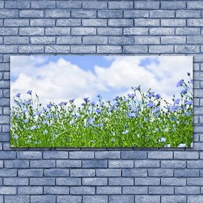 Obraz na płótnie Harmonijna Flora Ogrodowa