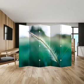 Parawan - Łodyga trawy (210x170 cm)