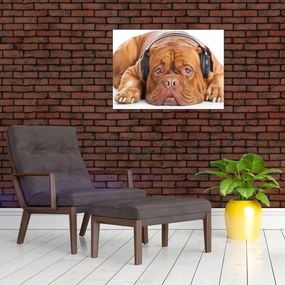 Obraz psa ze słuchawkami (70x50 cm)