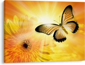 Obraz - Żółty motyl z kwiatkiem (70x50 cm)