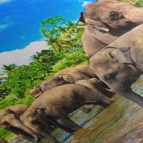 Obraz - Słonie, Sri Lanka (z zegarem) (90x30 cm)