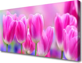 Zdjęcie na płótnie Wiosenne Tulipany w Rozkwicie