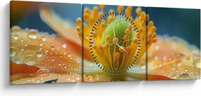 Obraz - Szczegół kwiatu (z zegarem) (90x30 cm)