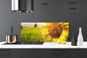 Dekor Szklany do Kuchni Złoty Słonecznik W Słońcu