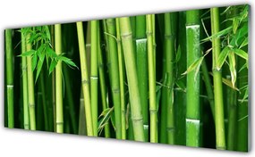 Panel nad blat kuchenny Tajemniczy Las Bambusowy