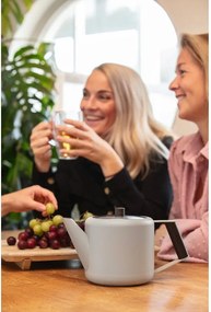 Beżowy dzbanek do herbaty ze stali nierdzewnej 1,1 l Duet Boston – Bredemeijer