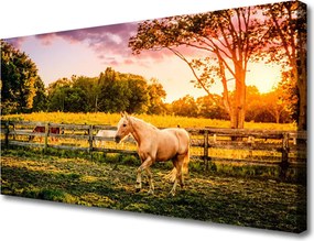 Obraz na płótnie Dzikie Konie na Pastwisku