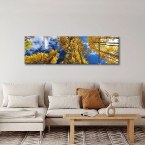 Obraz - Aspen (170x50 cm)