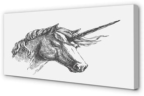 Zdjęcie na płótnie Rysunkowy Jednorożec