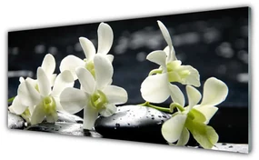 Obraz Szklany Kwiat Orchidea Roślina