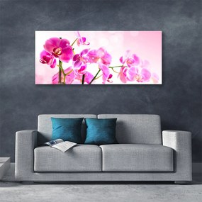 Obraz Canvas Kwiaty Roślina Natura